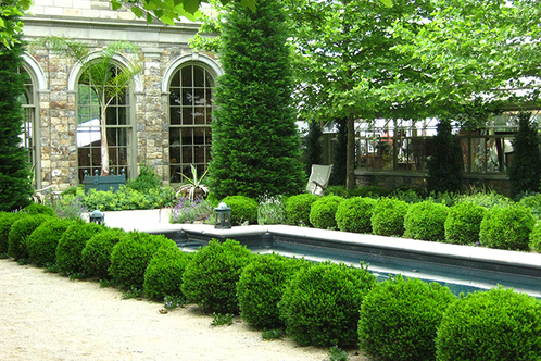 Njhc jardin de buis img 0783 web